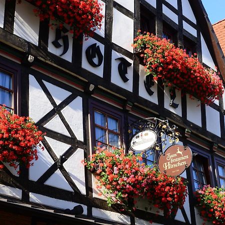 Hotel Zum Braunen Hirschen バート・ドリーブルク エクステリア 写真