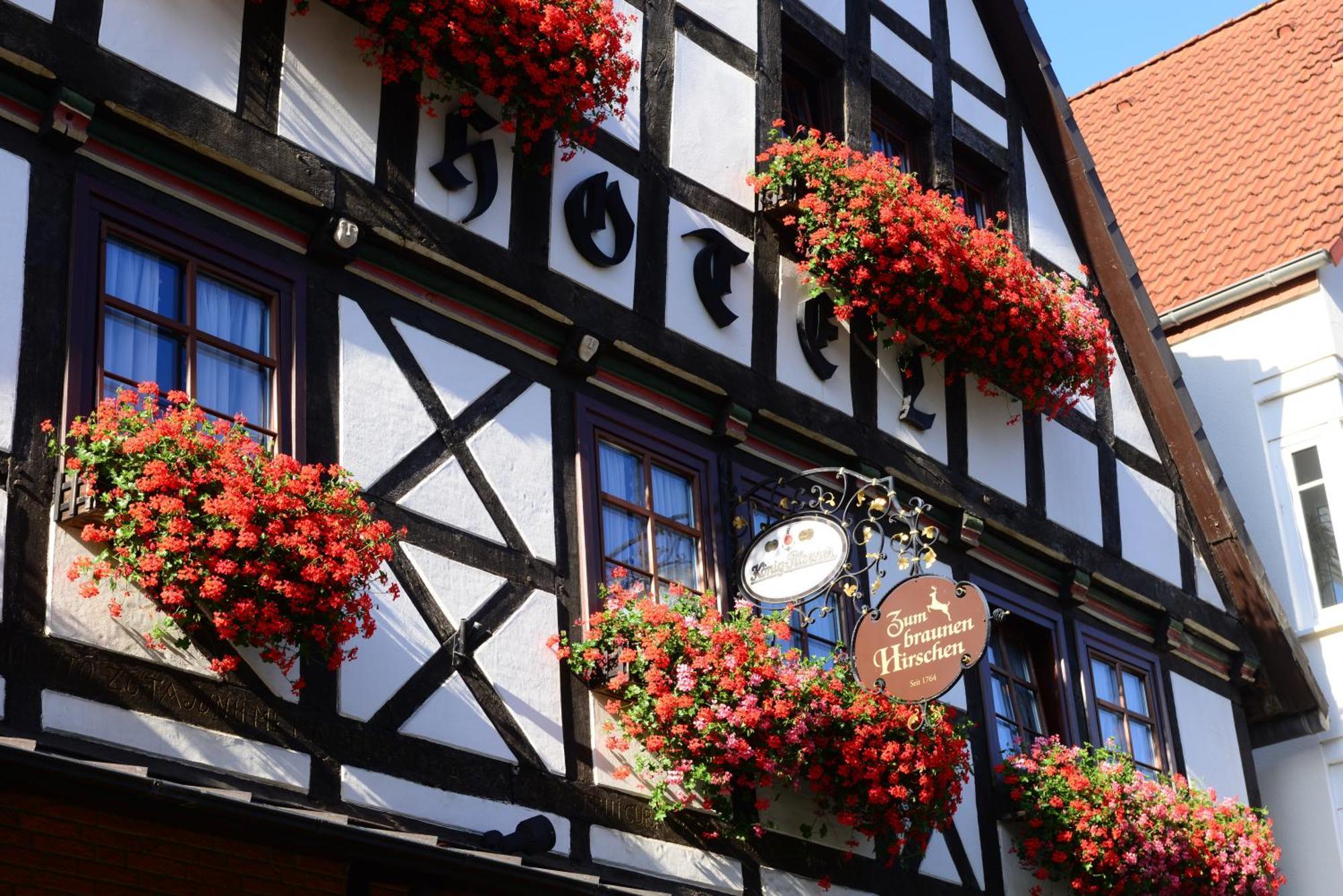 Hotel Zum Braunen Hirschen バート・ドリーブルク エクステリア 写真